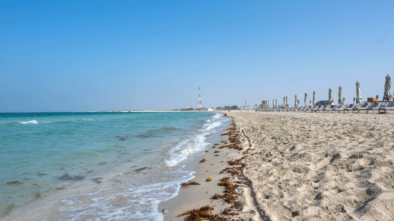 Azul beach bahrain - media 3