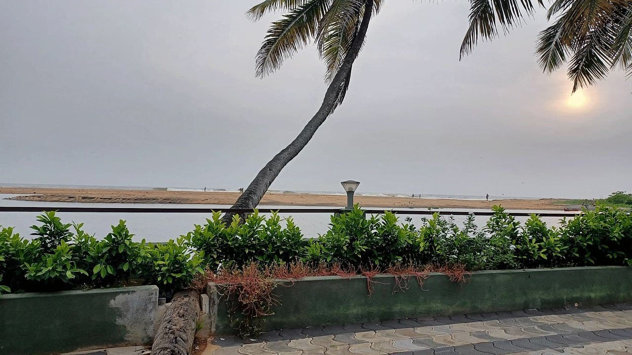 Lagoona Beach Resort - media 7