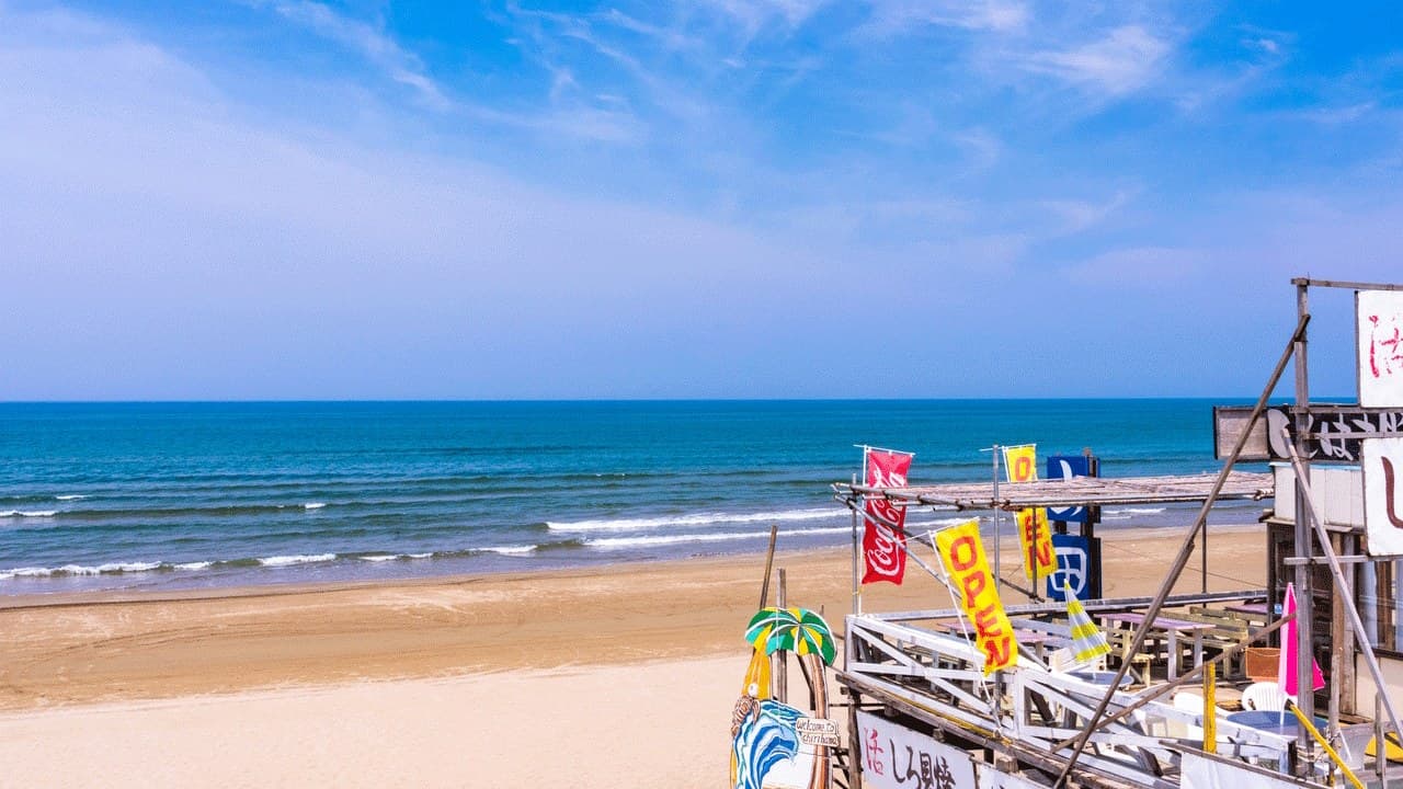 Beach Culture - media 2
