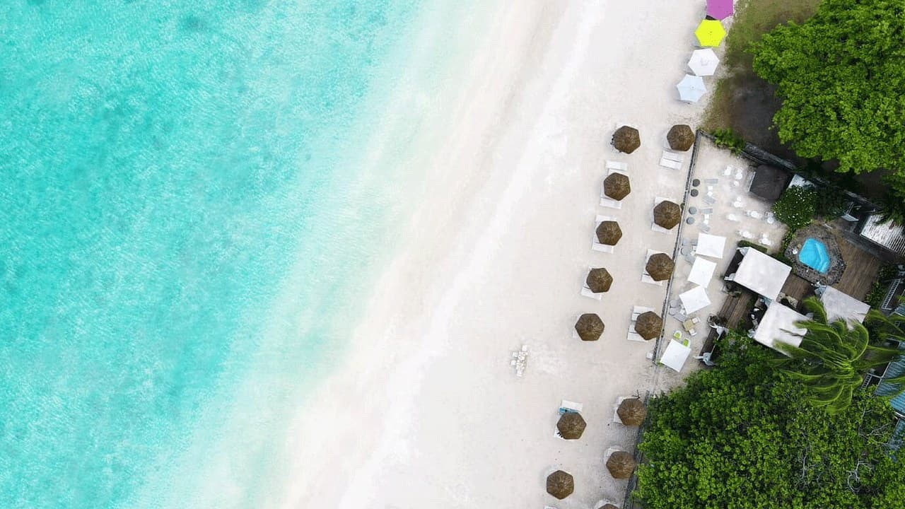 La Plage - media 4