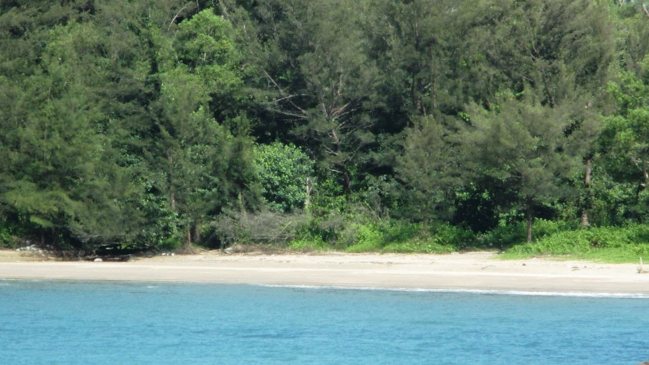 Tungku Beach - media 4