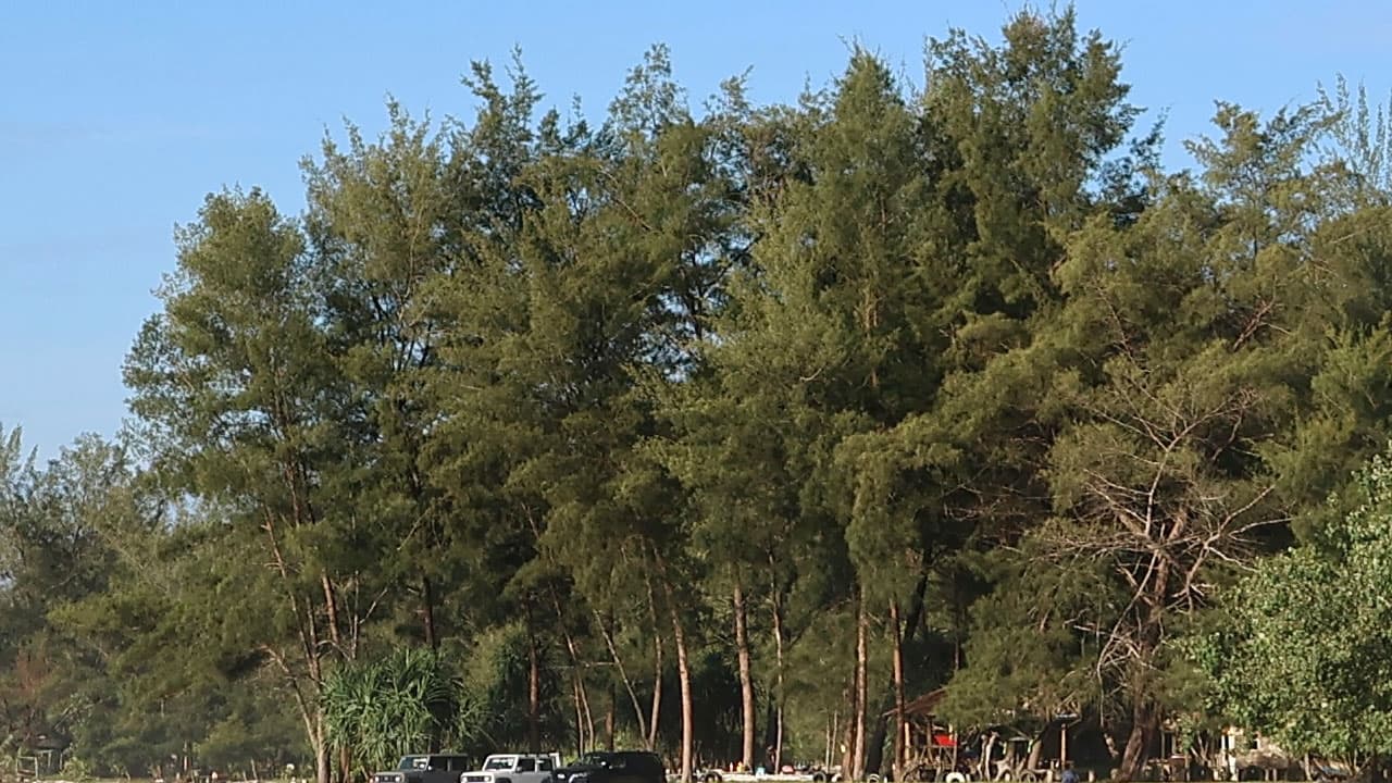 Penanjong Beach - media 6