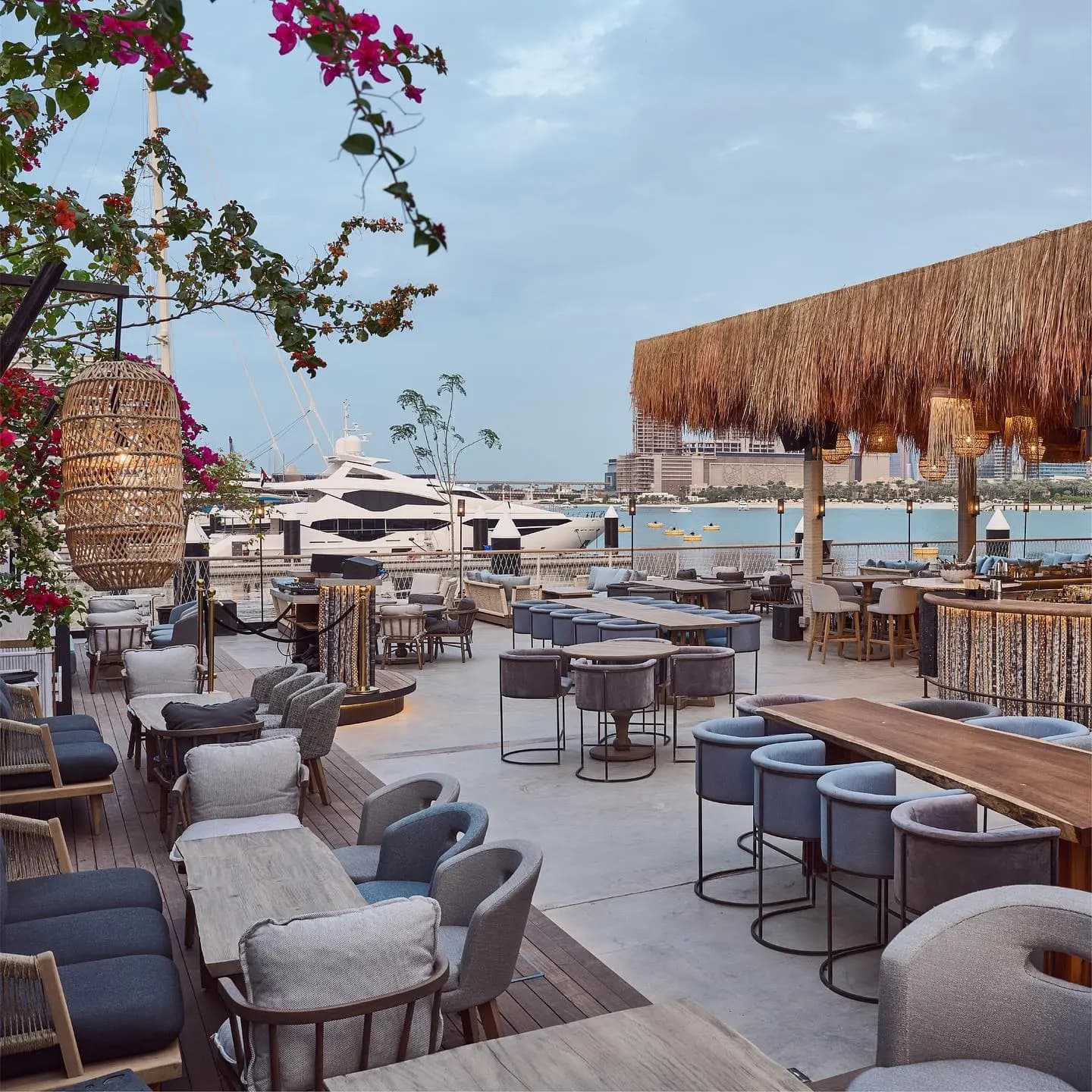 Bar Du Port Dubai Ladies Night